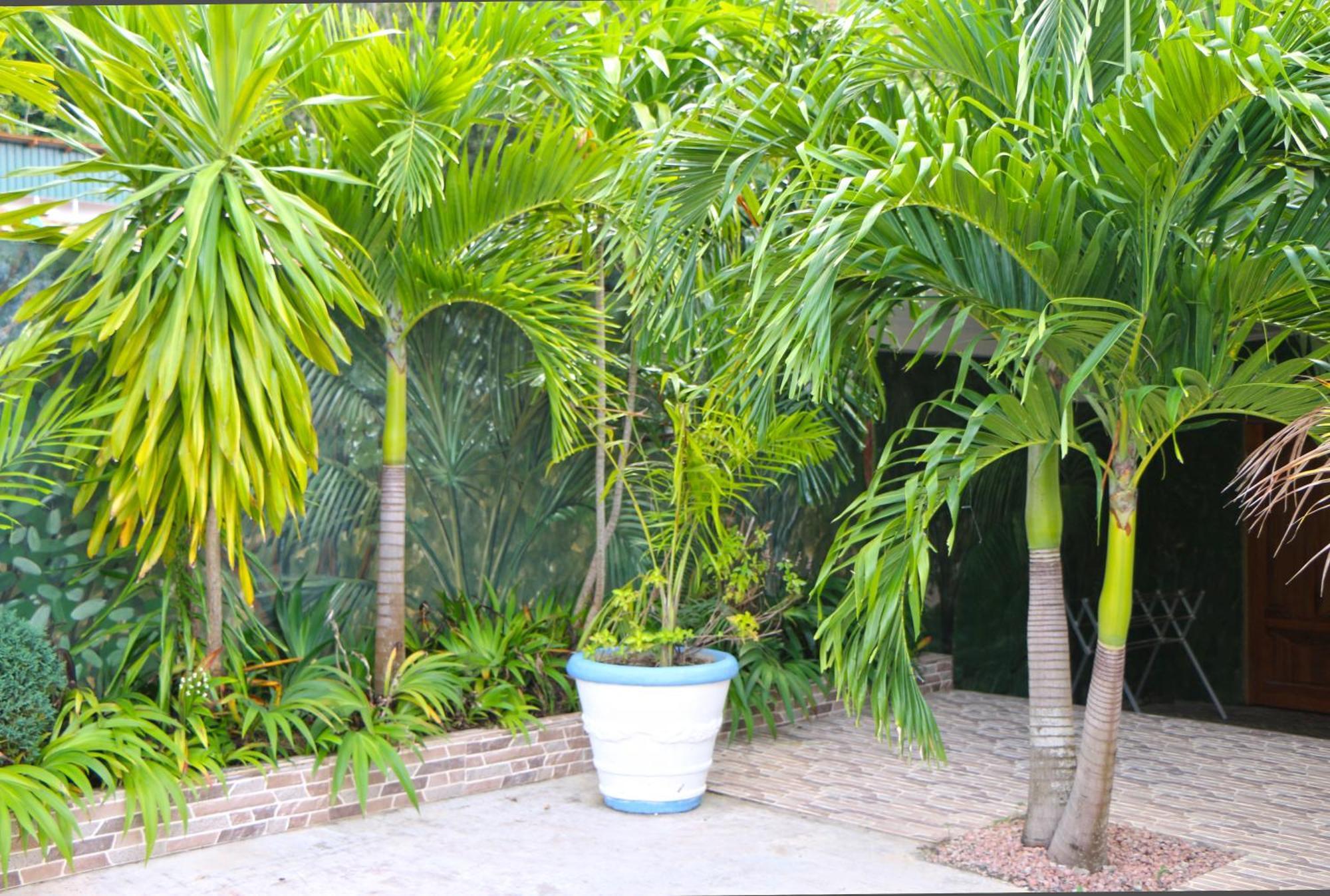 Ocean Blue Bay Apartment Anse Volbert Village  Bagian luar foto