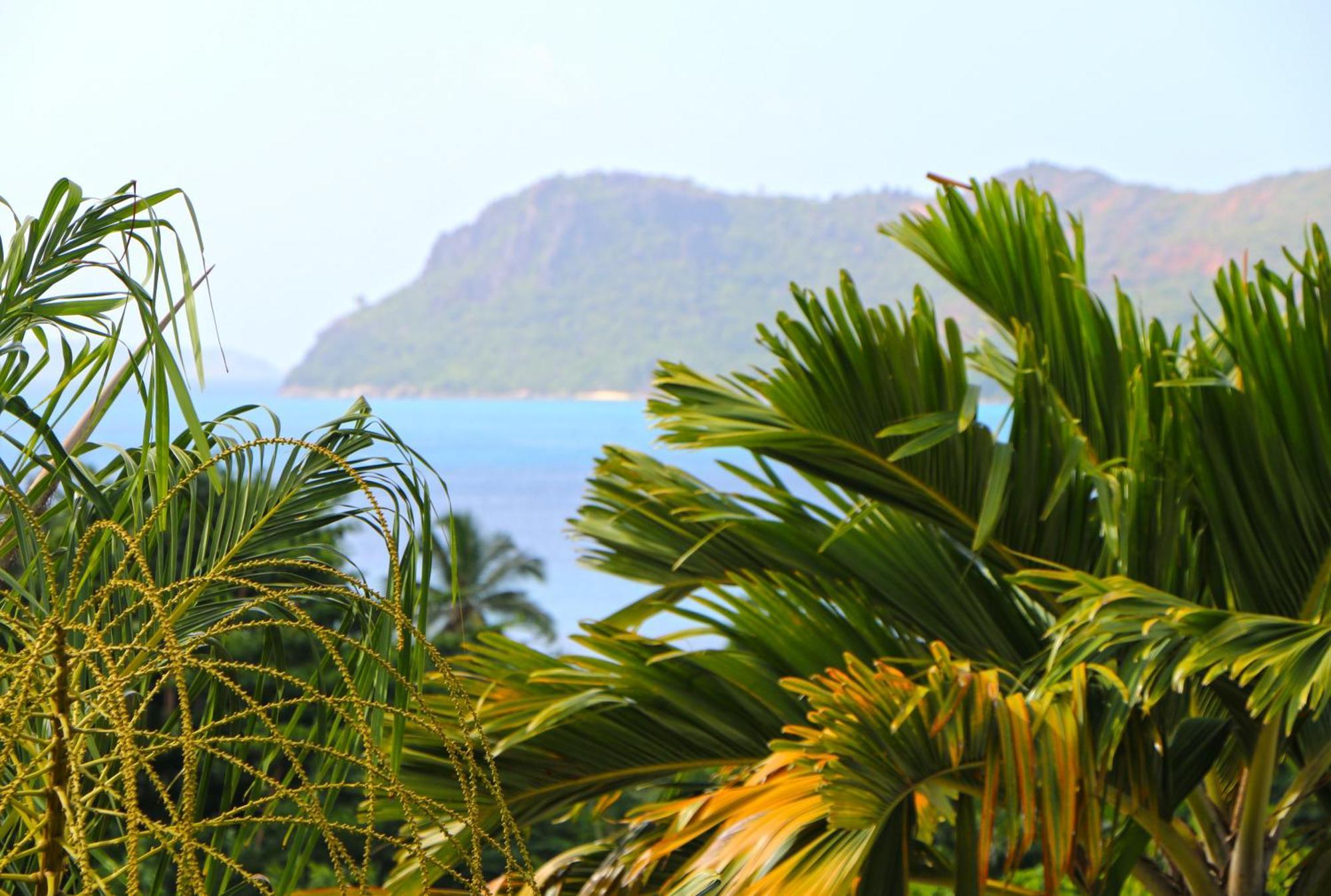 Ocean Blue Bay Apartment Anse Volbert Village  Bagian luar foto