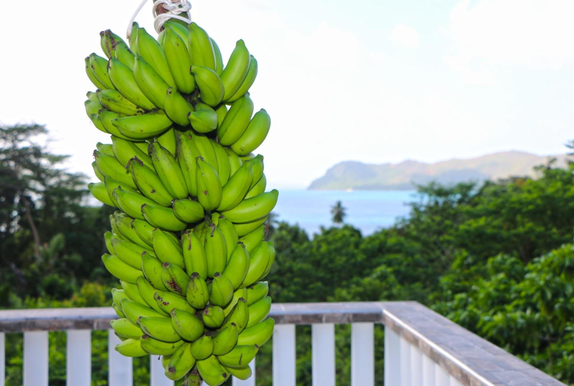 Ocean Blue Bay Apartment Anse Volbert Village  Bagian luar foto